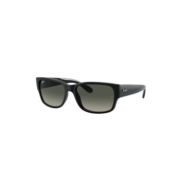 Ray Ban 4388