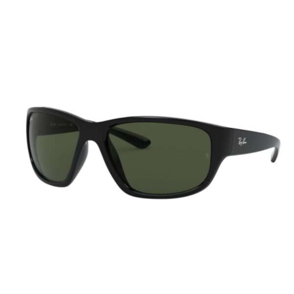 Ray Ban 4300