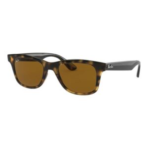 Ray Ban 4640