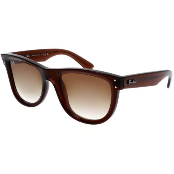 Ray Ban Wayfarer Reverse