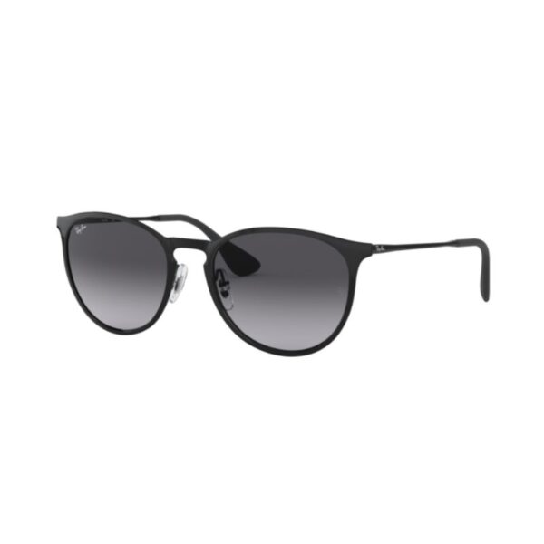 Ray Ban Erika metal