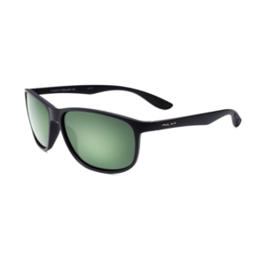 Polar 3012