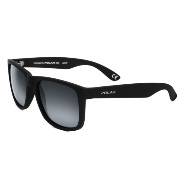 Polar 323