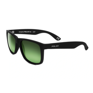 Polar 323