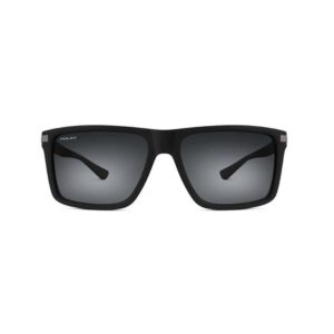 Polar 4004
