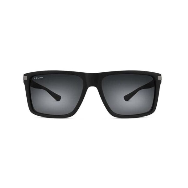 Polar 4004