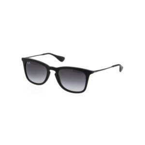 Ray Ban 4221