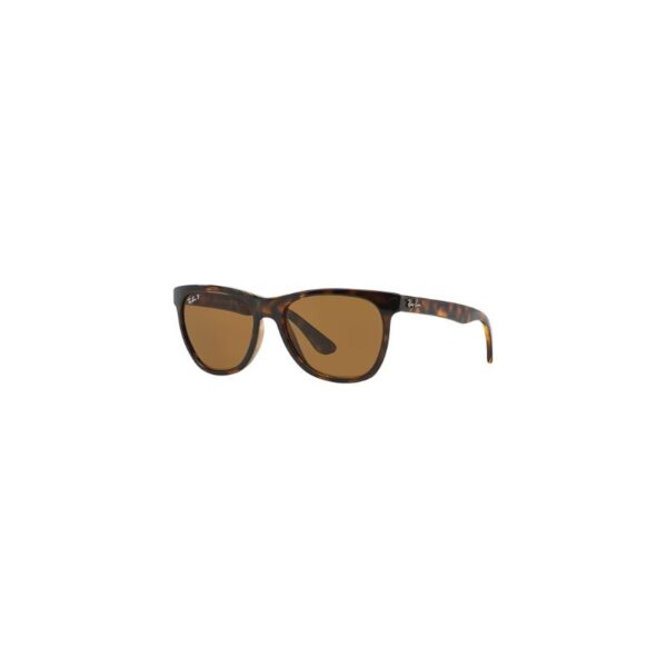 Ray Ban 4184