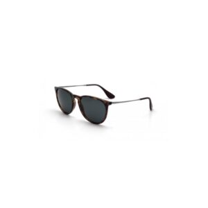 Ray Ban Erika