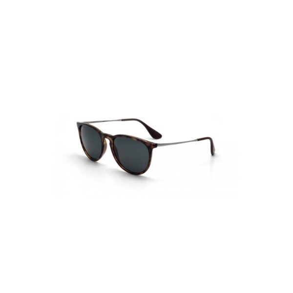 Ray Ban Erika