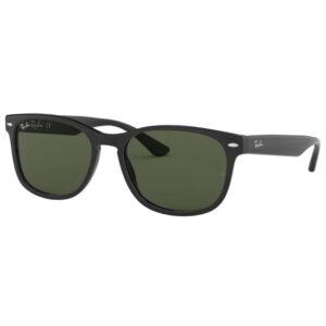 Ray Ban 2184
