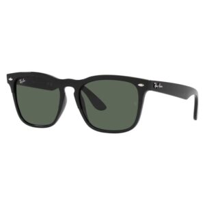 Ray Ban Steve