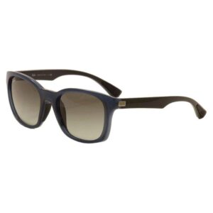 Ray Ban 4197