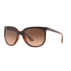 Ray Ban Cats