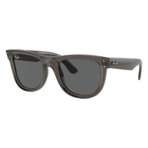 Ray Ban Wayfarer Reverse