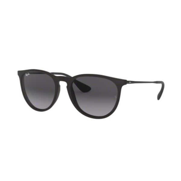 Ray Ban Erika