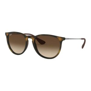 Ray Ban Erika