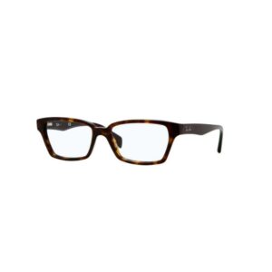 Ray Ban 5280