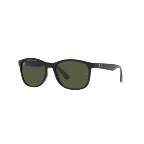 Ray Ban 4374