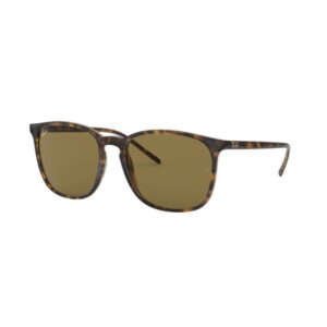 Ray Ban 4387