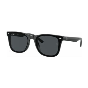 Ray Ban 4420