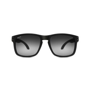 Polar 358