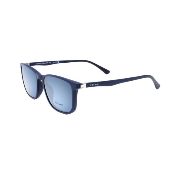 Polar 463