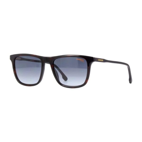 Carrera 261/S