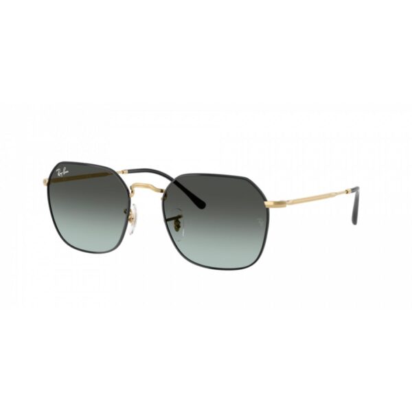 Ray Ban Jim
