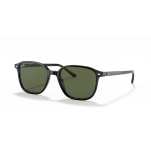 Ray Ban Leonard