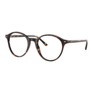 Ray Ban Bernard Transition