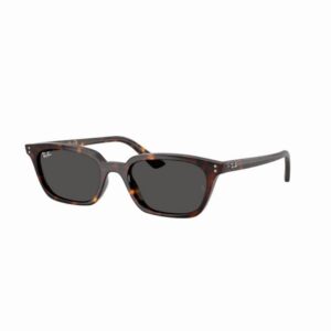 Ray Ban Zaya